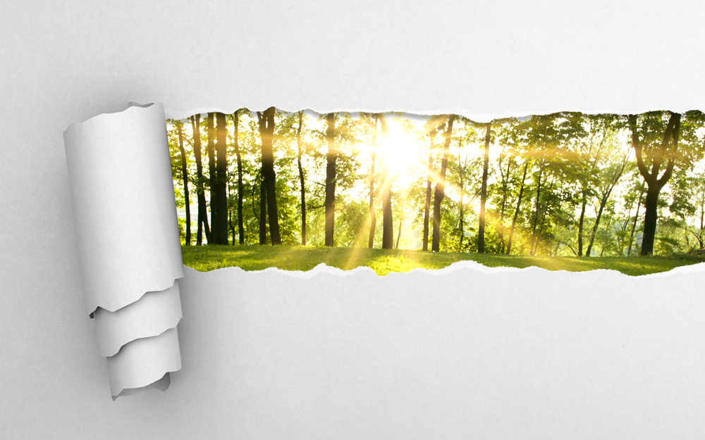 gray torn paper and green forest background